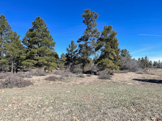 1305 Trails Blvd, Pagosa Springs CO, 81147 land for sale