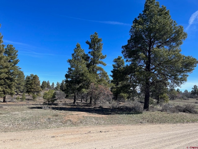 Listing photo 2 for 1305 Trails Blvd, Pagosa Springs CO 81147