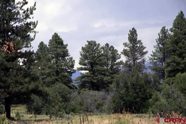 Listing photo 3 for 1305 Trails Blvd, Pagosa Springs CO 81147