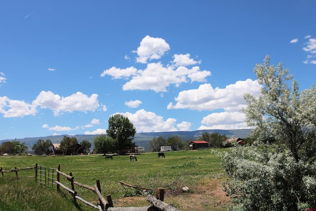 view of yard with a rural view