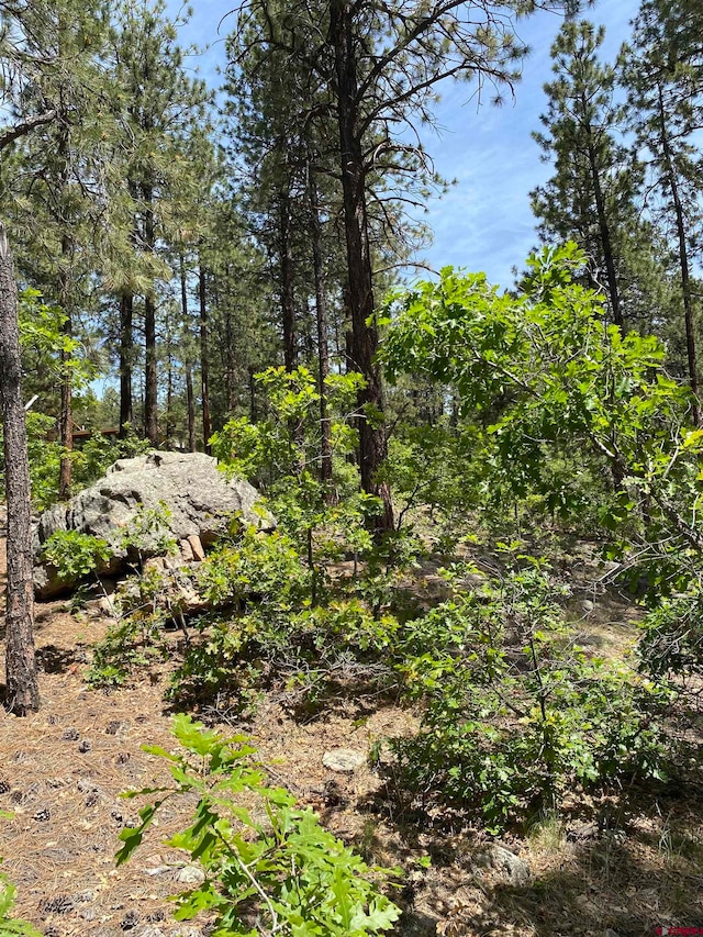 163 Boulder View Dr, Durango CO, 81301 land for sale