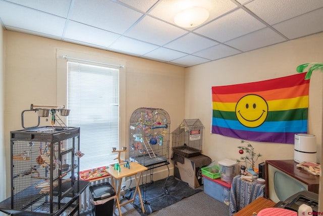 playroom with a drop ceiling and dark colored carpet