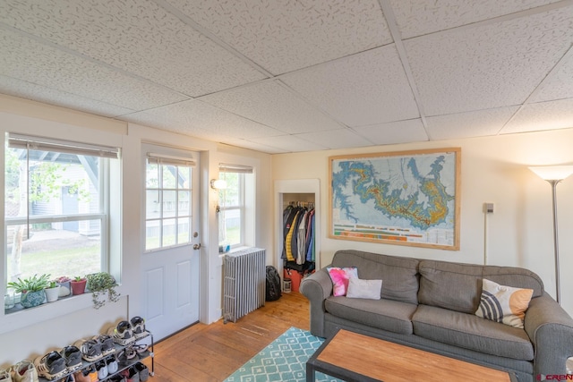 living room with a paneled ceiling, hardwood / wood-style flooring, and radiator