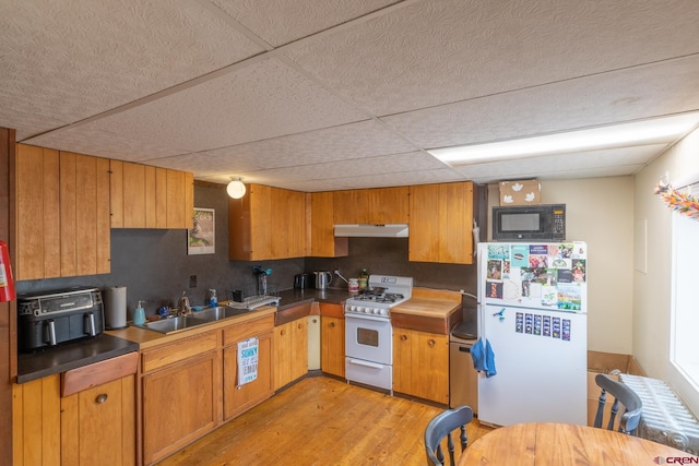 kitchen with white appliances, light hardwood / wood-style flooring, sink, and a drop ceiling