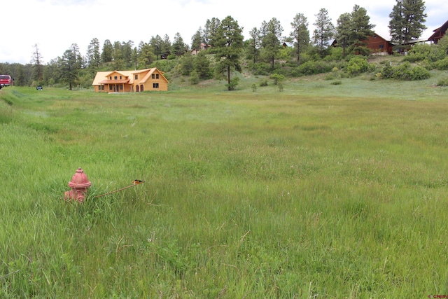 109 Snow Cir, Pagosa Springs CO, 81147 land for sale