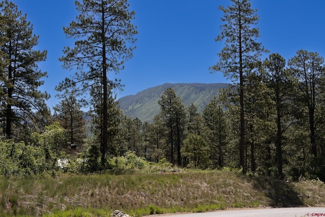 102 Red Canyon Ct, Durango CO, 81301 land for sale