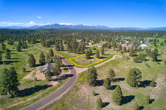 184 Domicile Cir, Pagosa Springs CO, 81147 land for sale