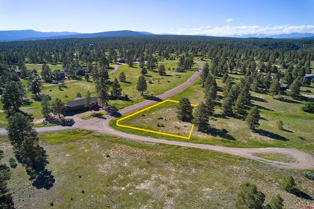 Listing photo 2 for 184 Domicile Cir, Pagosa Springs CO 81147