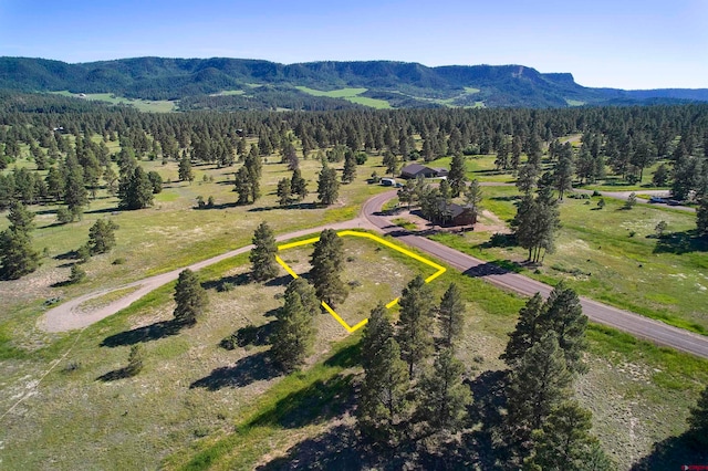 Listing photo 3 for 184 Domicile Cir, Pagosa Springs CO 81147