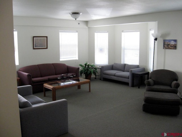 carpeted living room with a healthy amount of sunlight