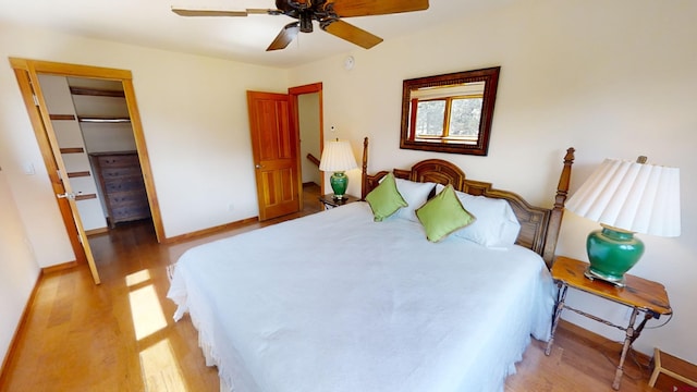 bedroom with ceiling fan, a walk in closet, light wood-type flooring, and a closet