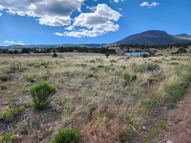 1275 Mohee Rd, South Fork CO, 81154 land for sale