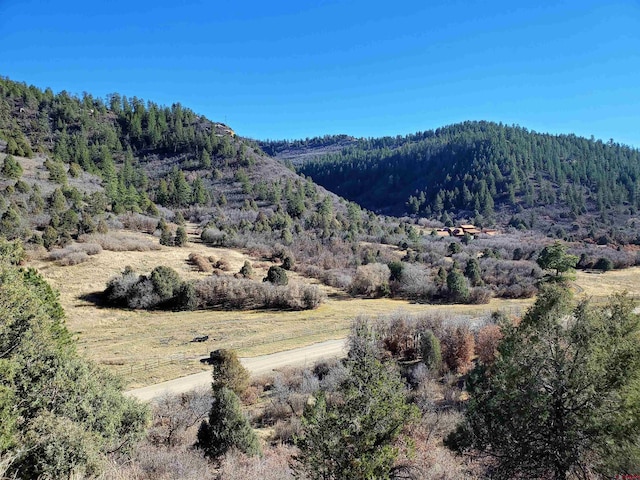 6727 Rd 46, Mancos CO, 81328 land for sale