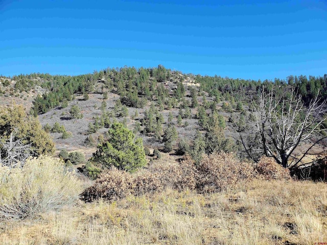 6727 Rd 46, Mancos, CO 81328