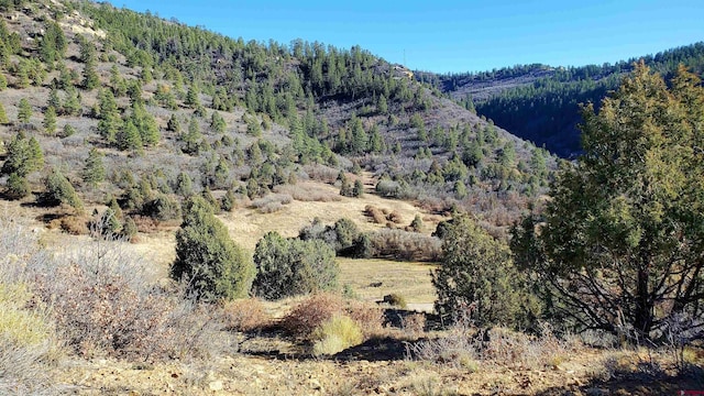 6727 Rd 46, Mancos, CO 81328