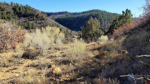 6727 Rd 46, Mancos, CO 81328