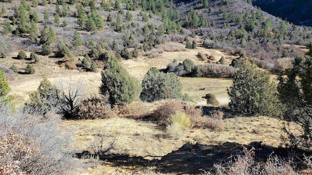 6727 Rd 46, Mancos, CO 81328