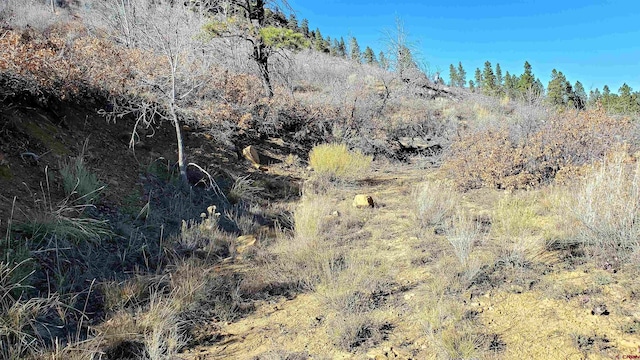 6727 Rd 46, Mancos, CO 81328