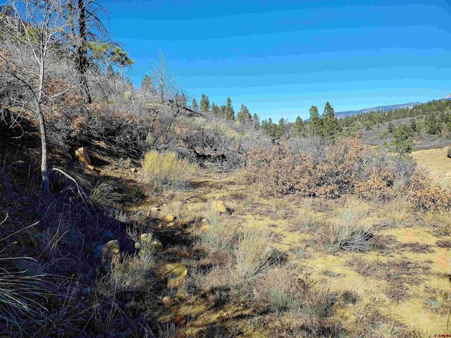 6727 Rd 46, Mancos, CO 81328