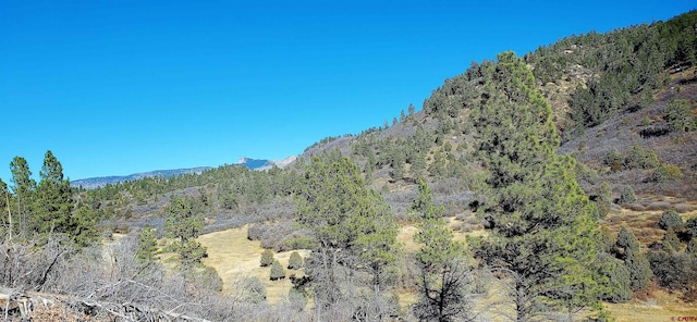 Listing photo 2 for 6727 Rd 46, Mancos CO 81328