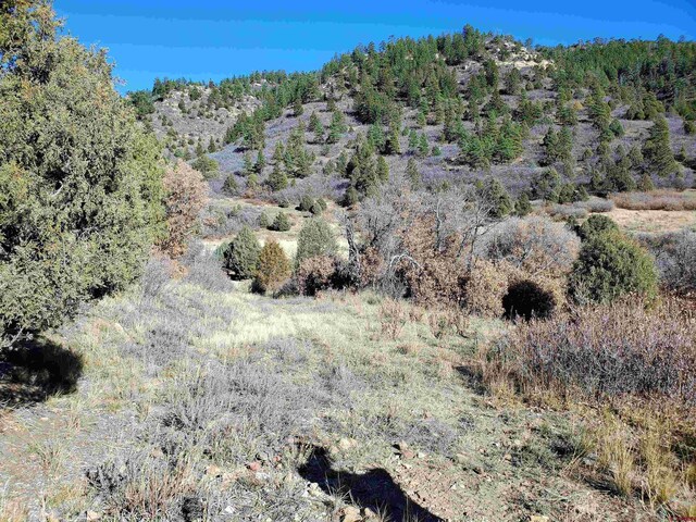6727 Rd 46, Mancos, CO 81328