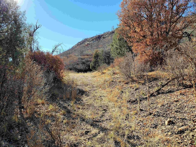 6727 Rd 46, Mancos, CO 81328