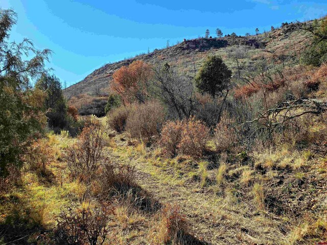 6727 Rd 46, Mancos, CO 81328