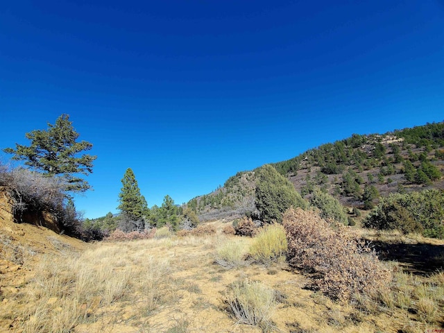 Listing photo 3 for 6727 Rd 46, Mancos CO 81328