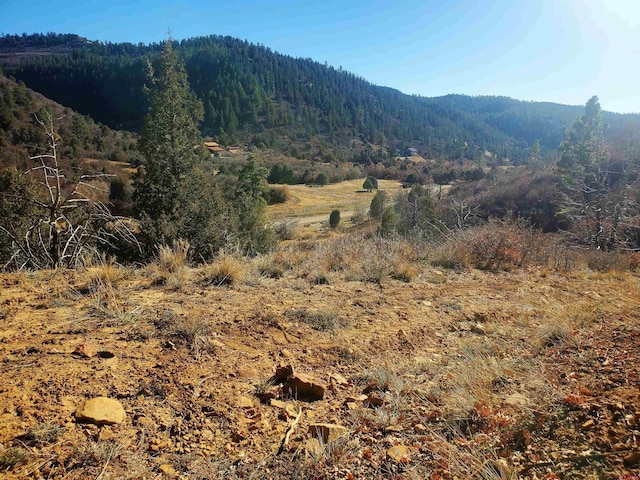 6727 Rd 46, Mancos, CO 81328