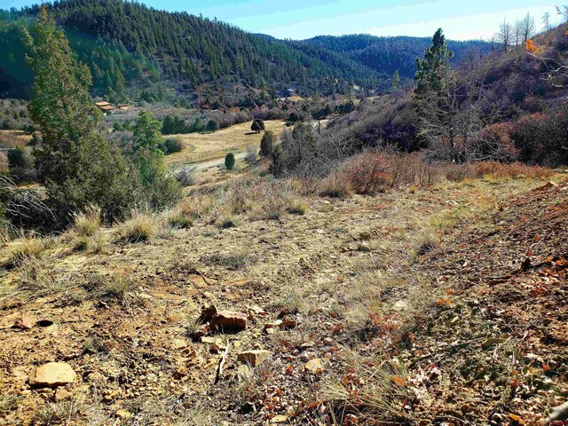 6727 Rd 46, Mancos, CO 81328