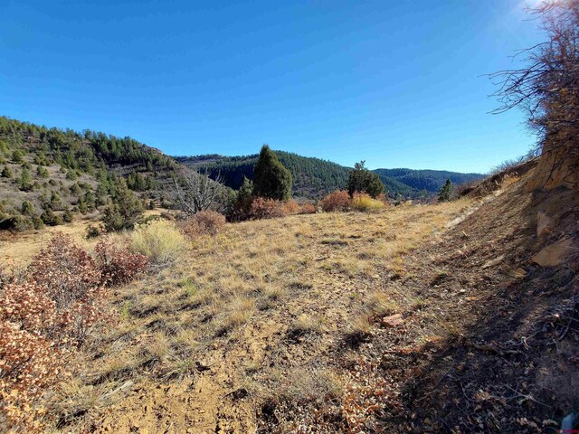 6727 Rd 46, Mancos, CO 81328