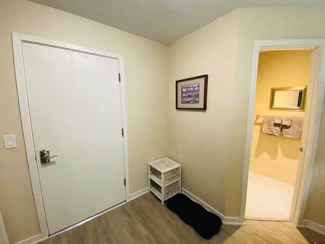 entryway featuring wood-type flooring