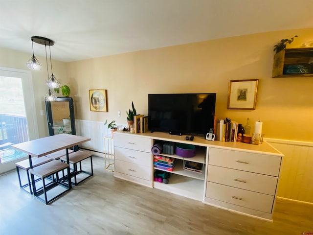 living room with light wood-type flooring and a wealth of natural light