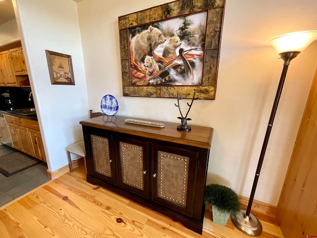 details featuring light hardwood / wood-style floors and sink