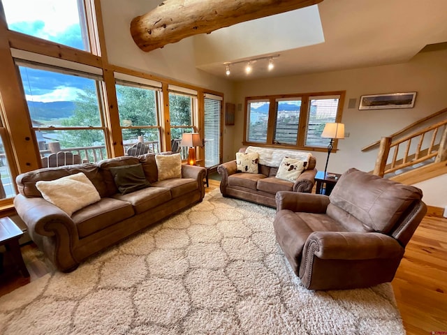 living room featuring a wealth of natural light, light wood-type flooring, and rail lighting