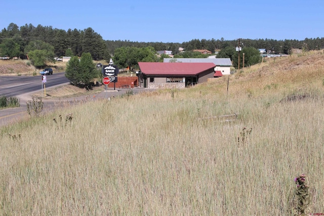 832 Rosita St, Pagosa Springs CO, 81147 land for sale