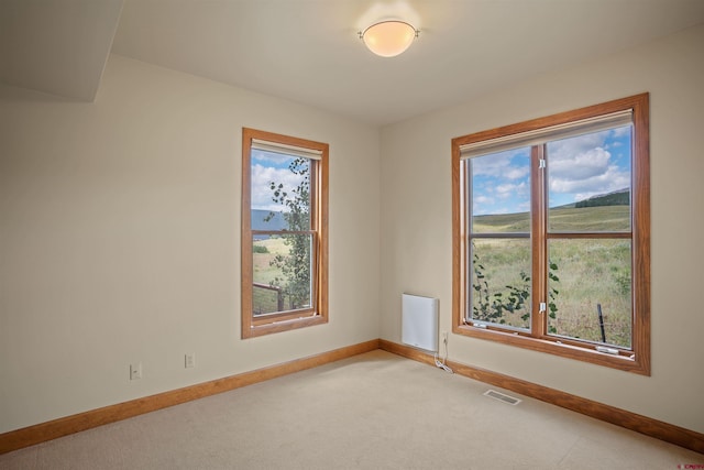 spare room with light colored carpet