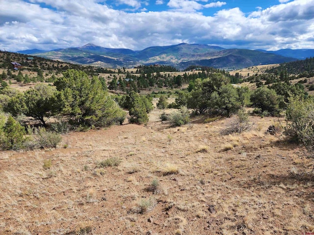 2867 Bear Creek Cir, South Fork CO, 81154 land for sale