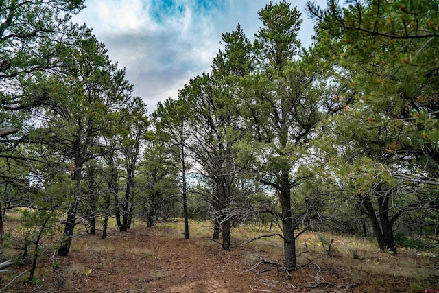 31 Cedar Ln W, Ridgway CO, 81432 land for sale