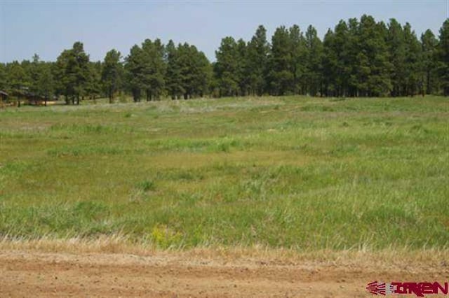 1288 Antelope Ave, Pagosa Springs CO, 81147 land for sale