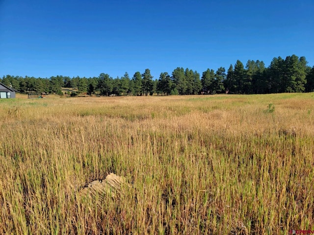 Listing photo 2 for 1288 Antelope Ave, Pagosa Springs CO 81147