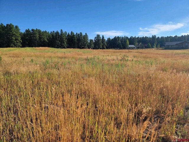 Listing photo 3 for 1288 Antelope Ave, Pagosa Springs CO 81147