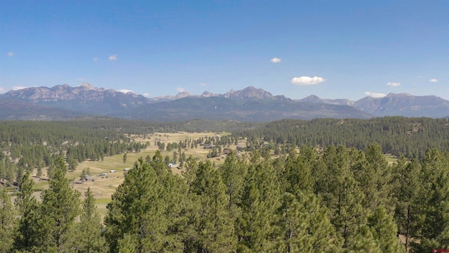 X County Road 400, Pagosa Springs CO, 81147 land for sale