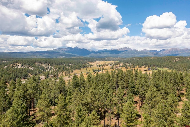 Listing photo 2 for X County Road 400, Pagosa Springs CO 81147