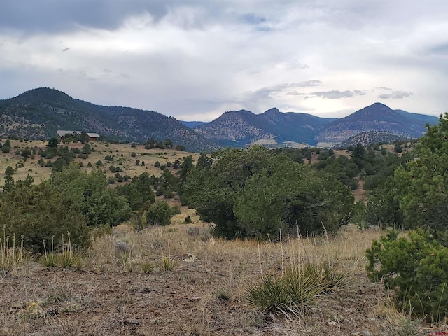 4055 Bear Creek Cir, South Fork CO, 81154 land for sale