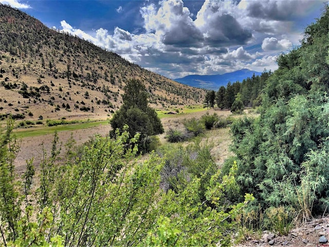 1090 Rio Grande Club Trl, South Fork CO, 81154 land for sale