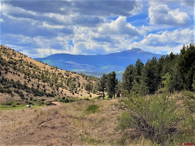 Listing photo 2 for 1090 Rio Grande Club Trl, South Fork CO 81154