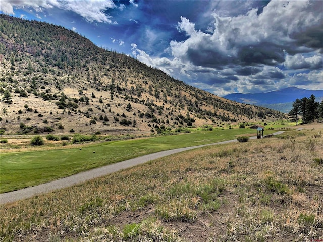 Listing photo 3 for 1090 Rio Grande Club Trl, South Fork CO 81154