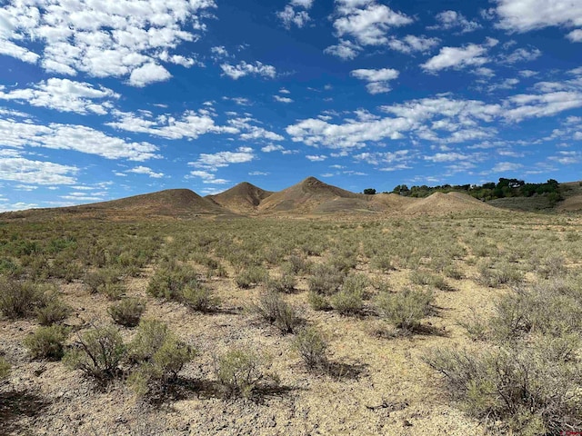 TBD Jig Rd, Montrose CO, 81403 land for sale