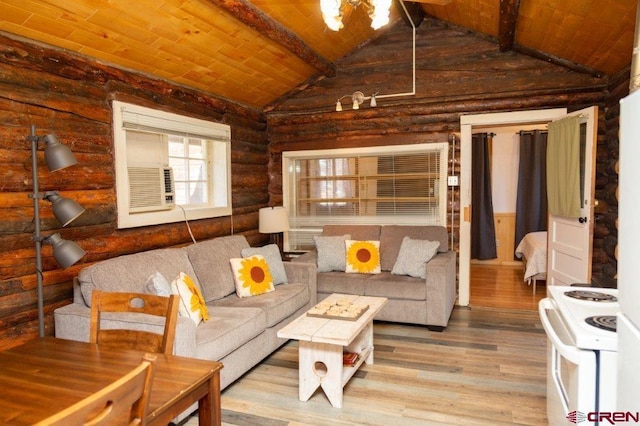 289 S Main St, Creede, CO 81130 - living area with wooden ceiling, lofted ceiling with beams, and wood finished floors